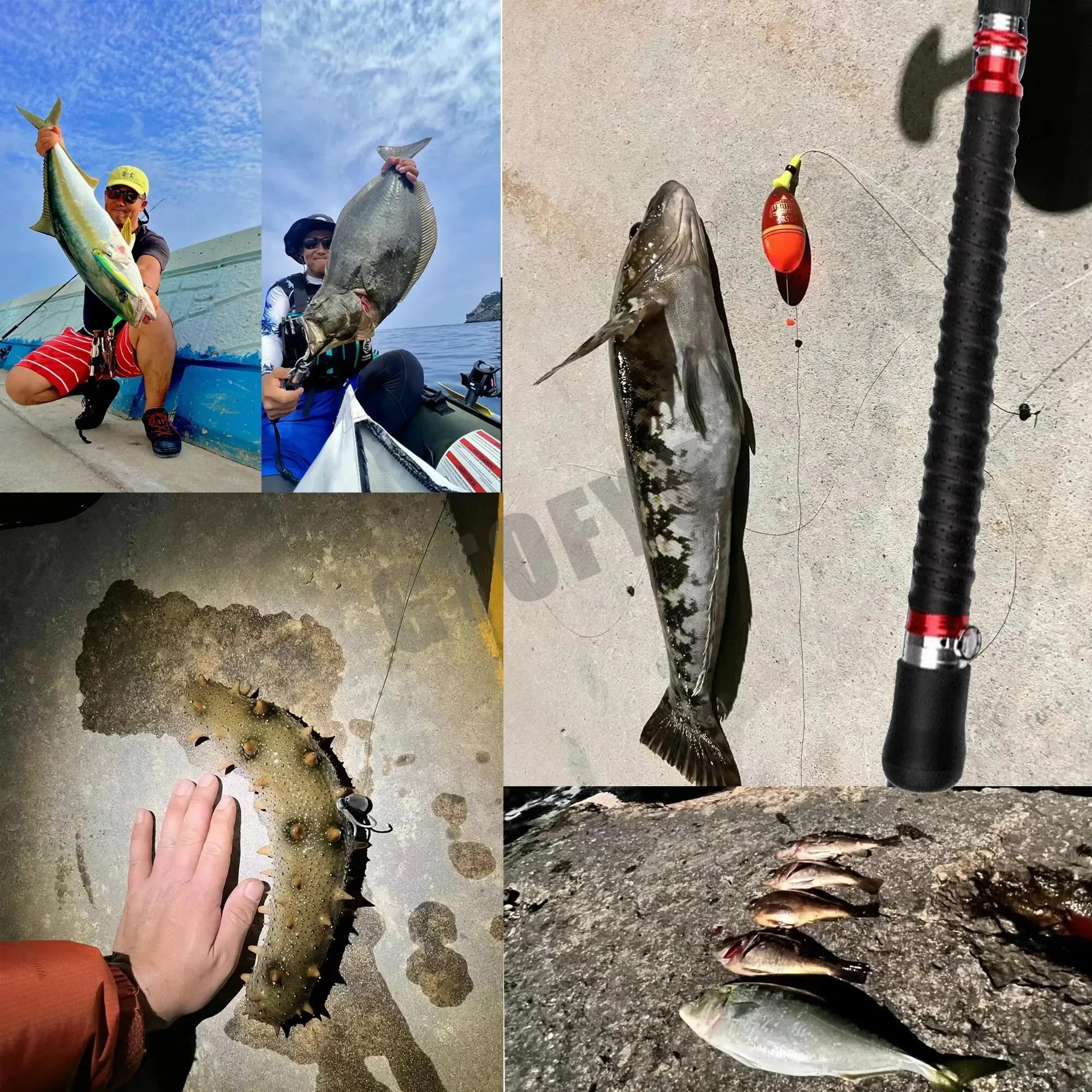 Telescopic Portable Fishing Bo - Fishing Rod Surf review and price